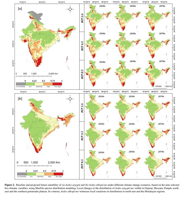 Dengue distribution