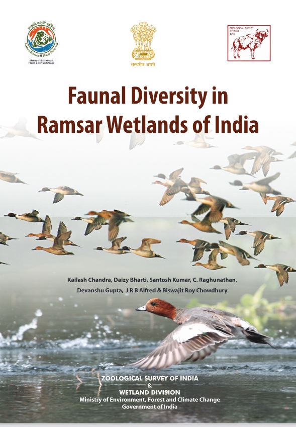 Faunal diversity