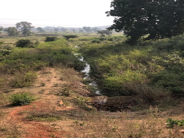 Reduced flow of the Kanari river (Image Sorce: Ayushi Trivedi)