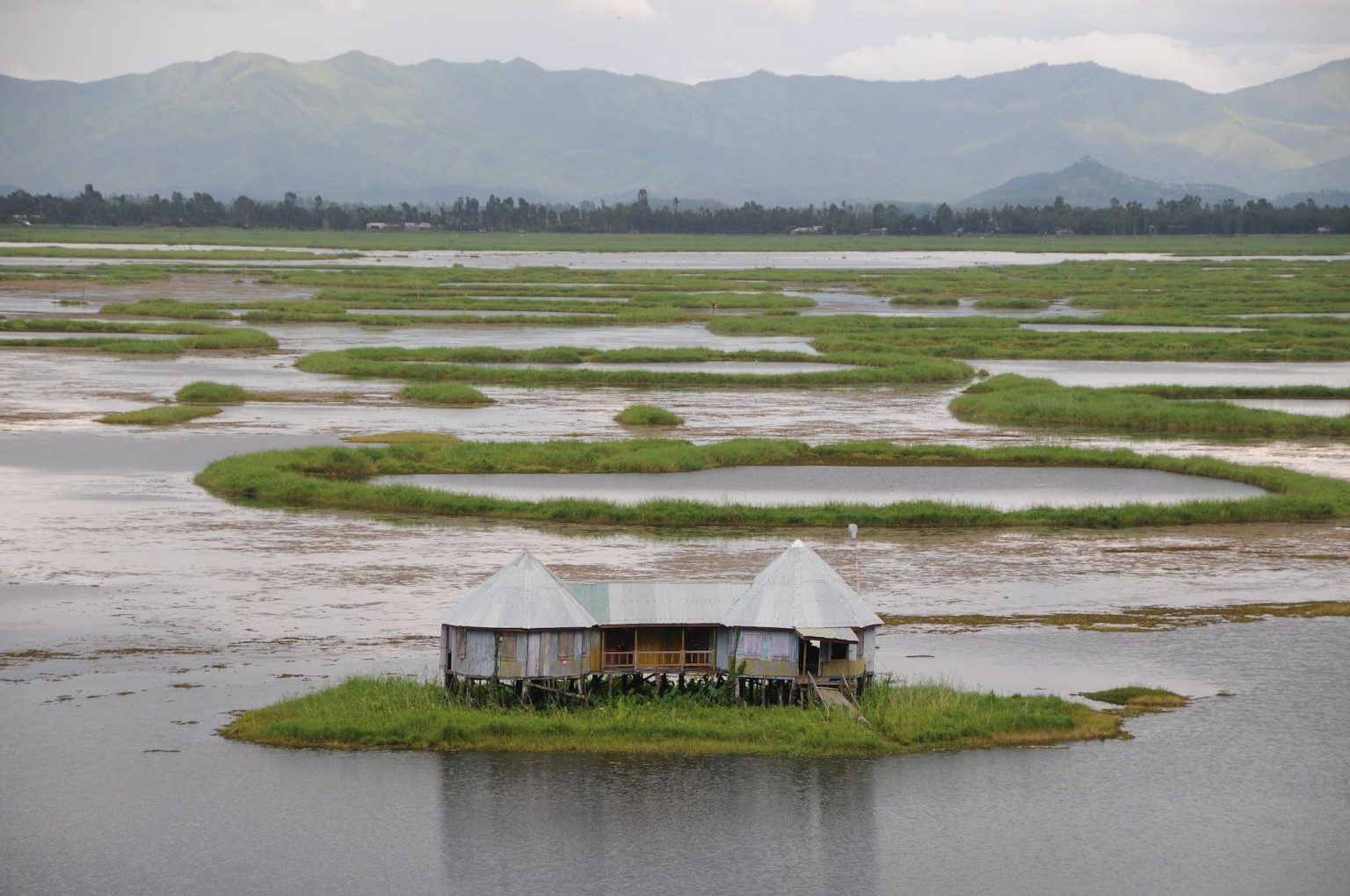 Phumdis on Loktak lake