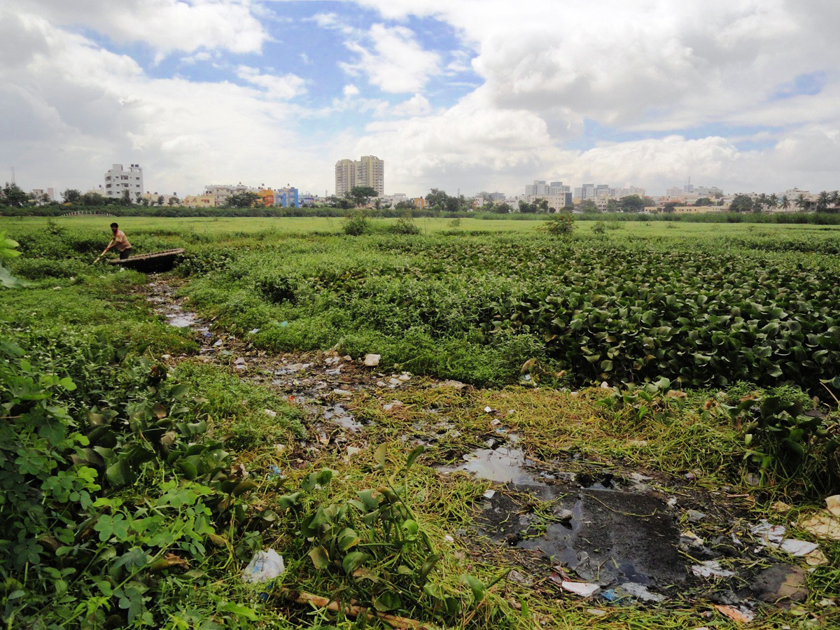 Polluted Sarakki lake Courtesy: Gopal Katwal Chhetri