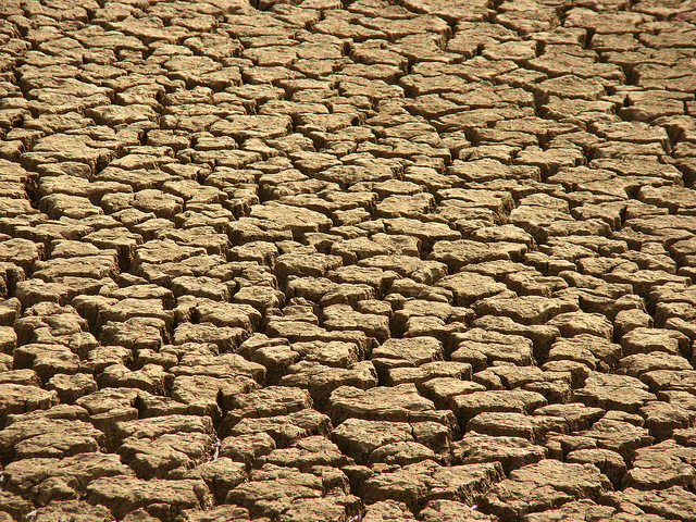 Drought in Maharashtra