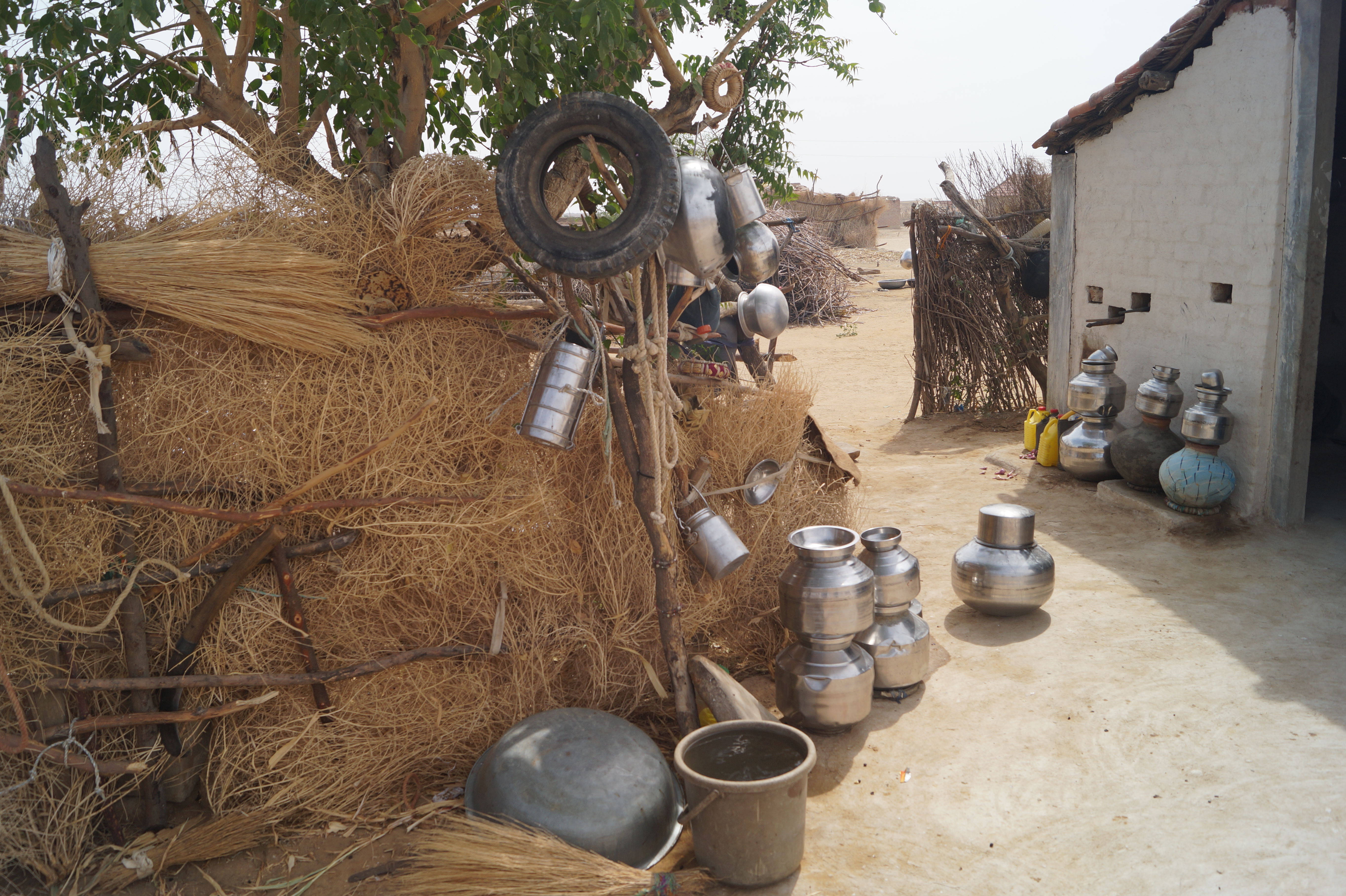 In the Jodhpur vandh, the Koli families own small patches of land with no water source. They used to migrate to far off regions after the monsoon.