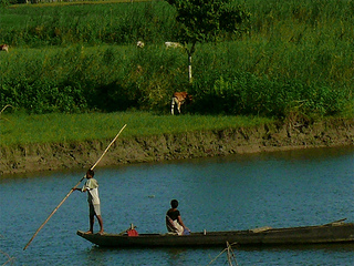 A family moving in search of a safer place