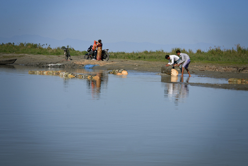 Timber being transported through the beel