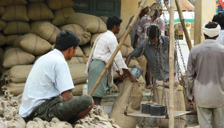 Andhra Pradesh produced 14 million tonnes of rice this year. In absence of storage space many schools function as godowns (Photo: M Suchitra)