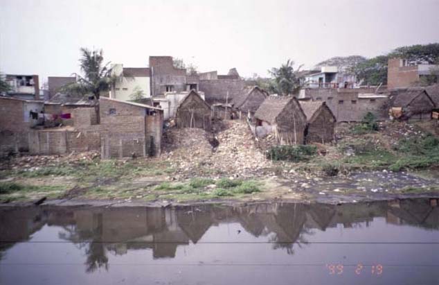 Cooum River