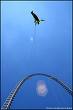 dare devil diver