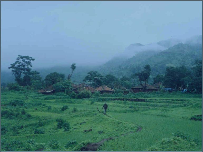 Indian Monsoon