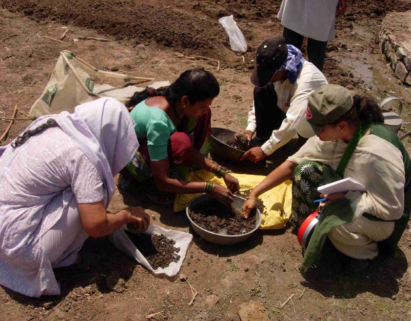 Package of Practices in Rice