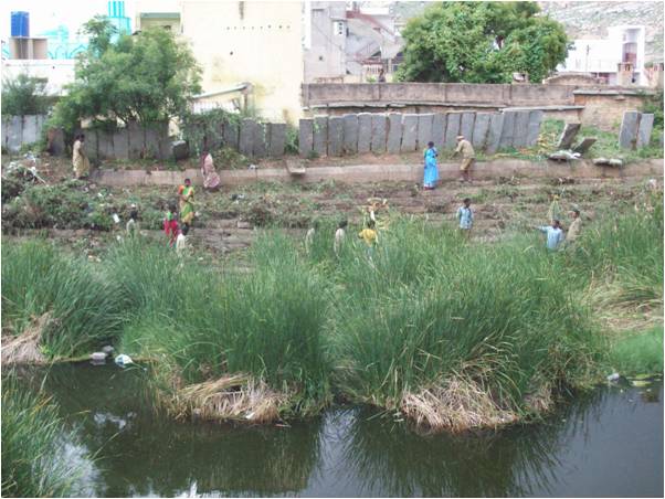 Cleaning up the kalyani