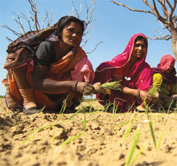 The government says the land is of little agricultural use. Photo: Sayantoni Palchoudhuri