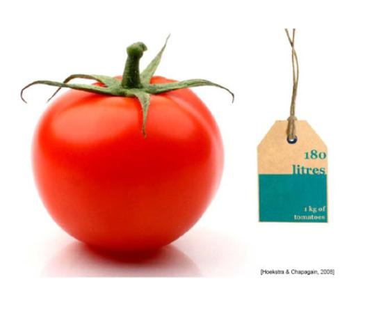 Tomato