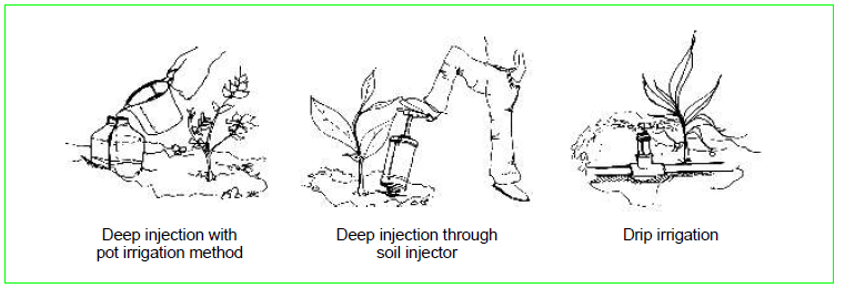 Urine application in agriculture