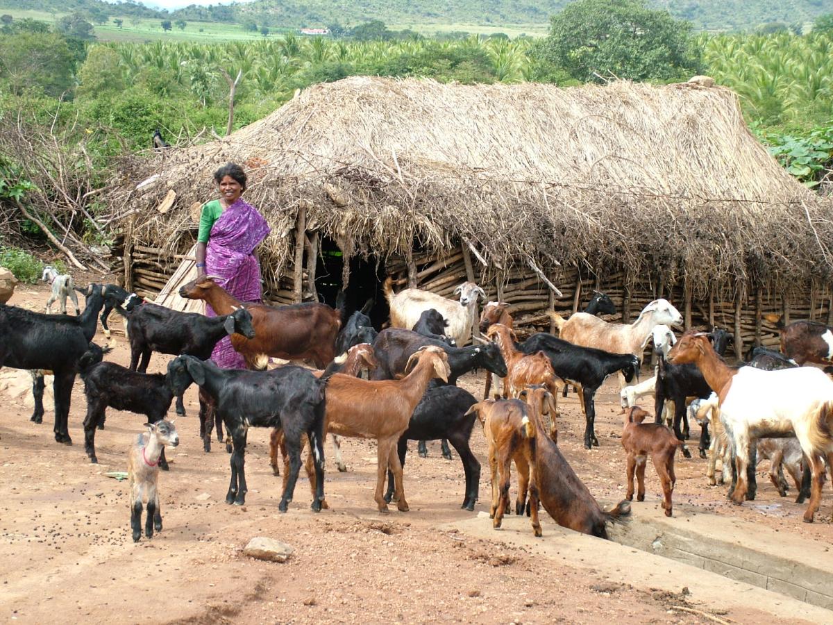 Member of the Bettakurumba community Source: Keystone Foundation