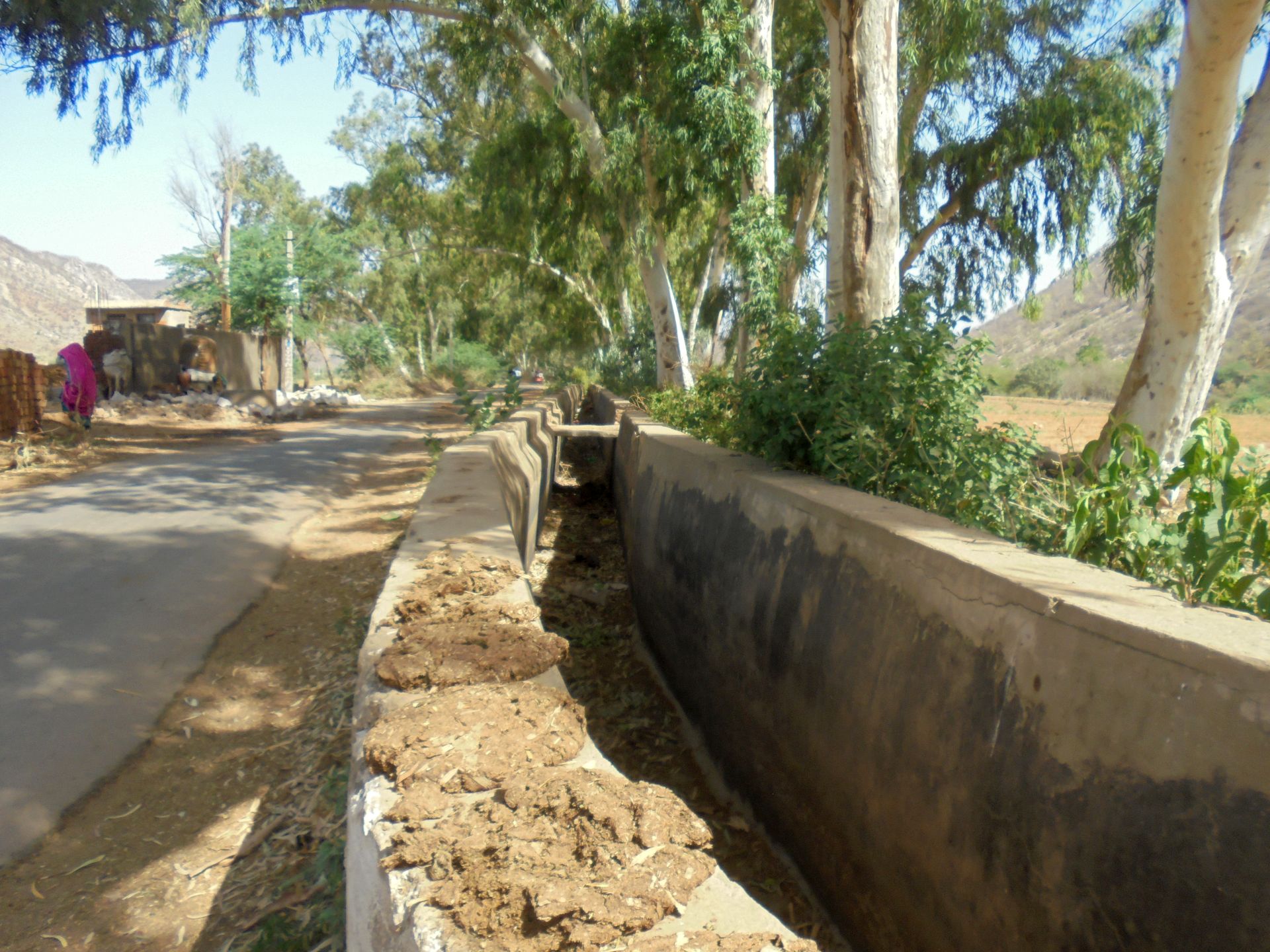 During rabi season, water discharged from Siliserh lake to the canal is stopped. Farmers in the region have to depend on borewells to draw water for irrigating their fields.