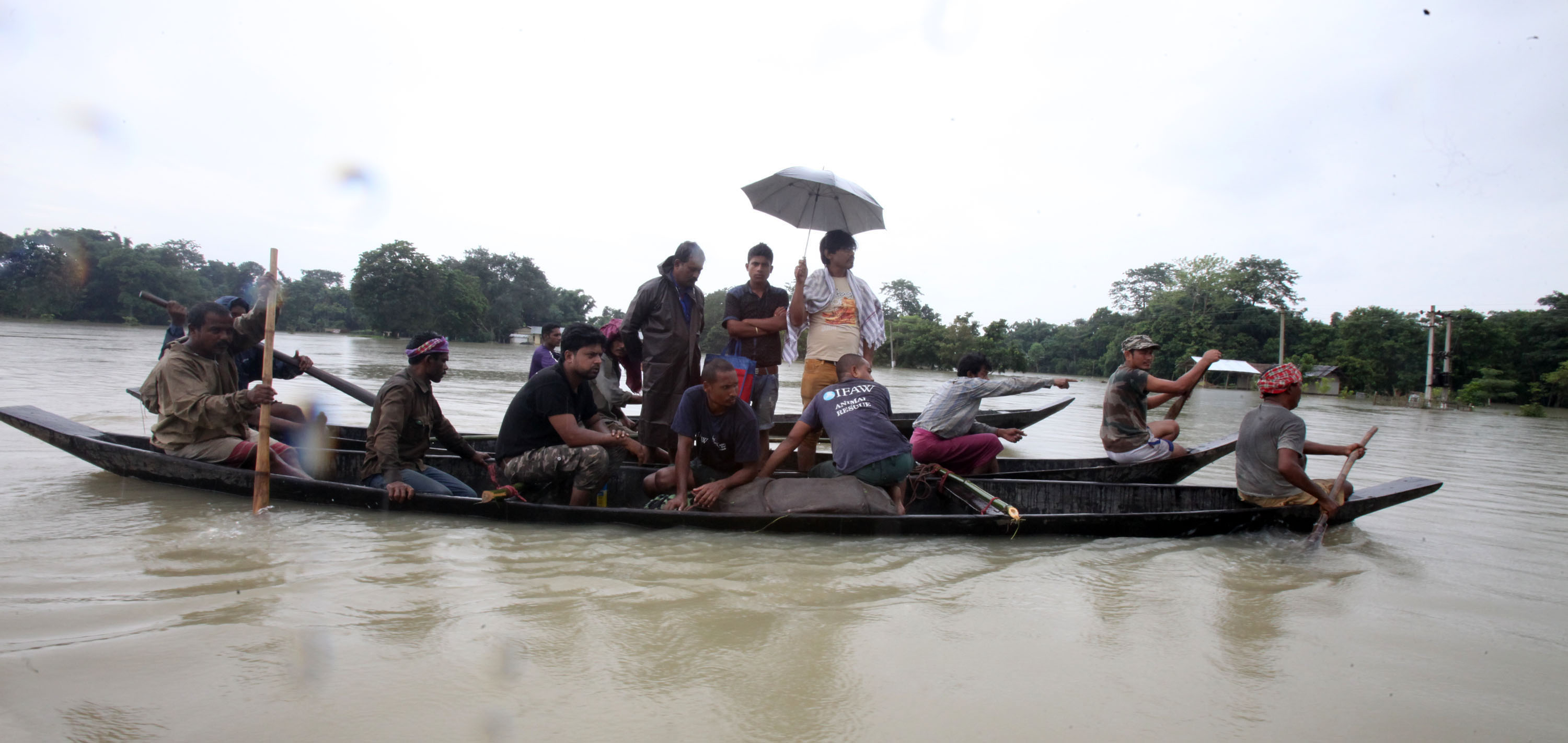 An MVS team uses country boats to get a rescued rhino back to safety through the raging flood waters. (Photo: Subhamoy Bhattacharjee/IFAW-WTI) 