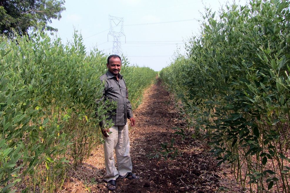 Farmers who used the liquid output as pesticide claim their output has increased by at least 20-25 % (Source: Nivedita Khandekar)