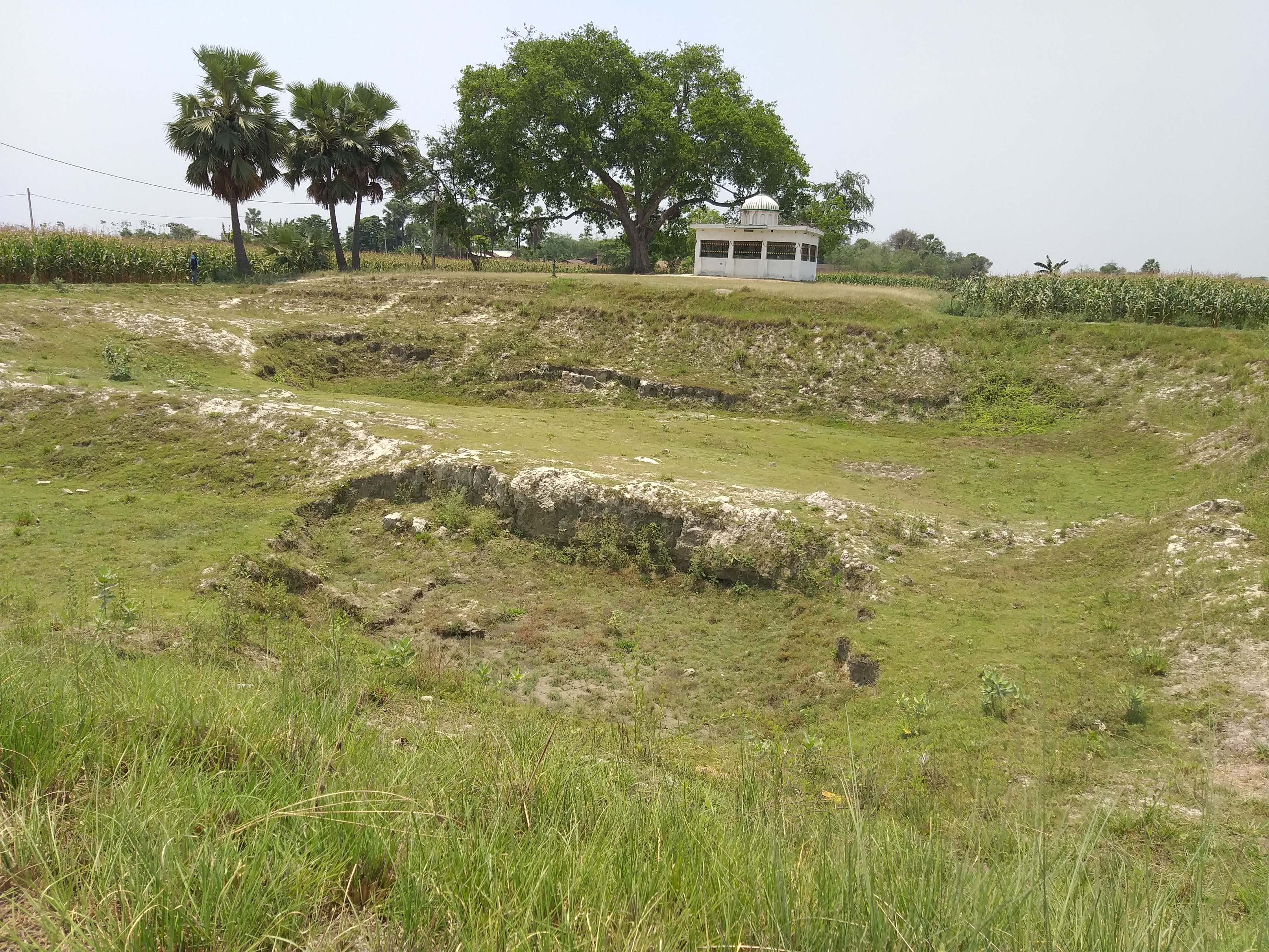 Drying up of ponds in Samastipur (Image: Amit Saxena)