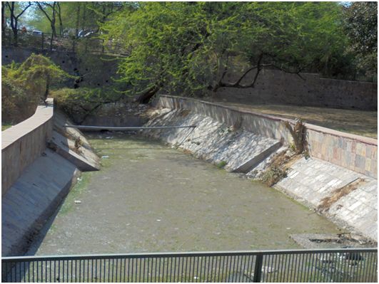 The lake’s inlet is in a bad state--covered with macrophytes with thick filaments algae and dumped with solid and liquid wastes.