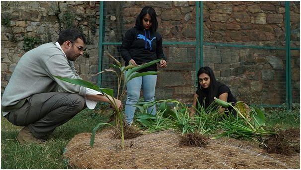 Nanda works on constructing the wetlands. (Image: Tarun Nanda)