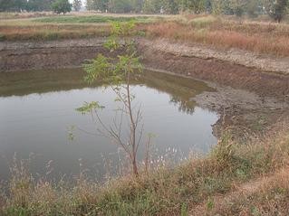 Farm pond valni village