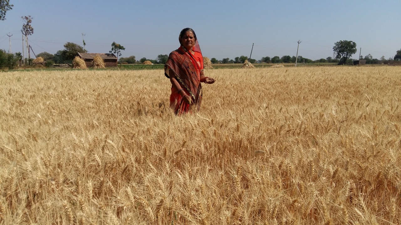 Women work on strengthening the local agricultural economy (Image: Utthan)