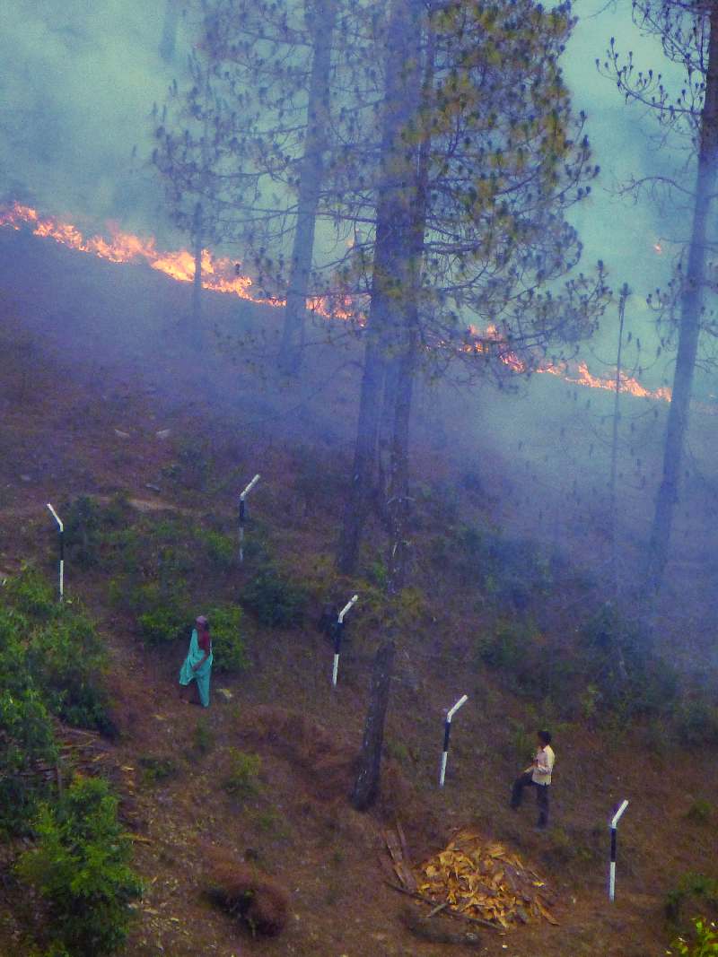 A man and a woman trying to control the fire