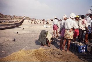 Fish market