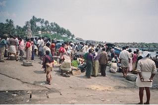 Fish market