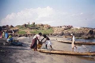 Fisherwoman buying fish