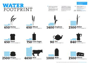 Water footprint