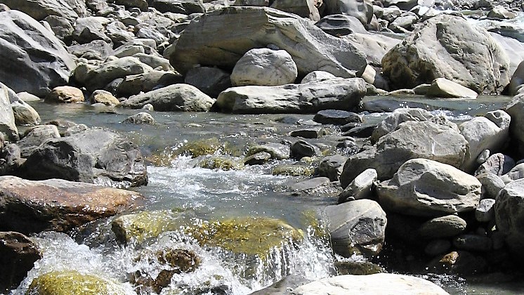 The Pindar leaps over boulders in Uttarakhand.