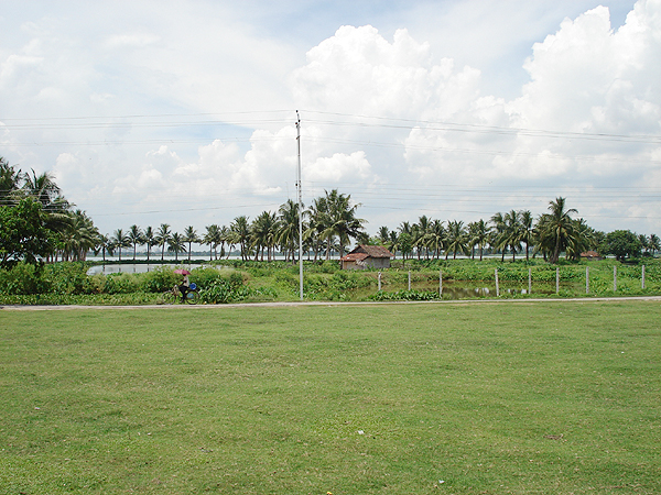 Goltala Bheri (fishpond) Photo: East Kolkata Wetlands Management Authority