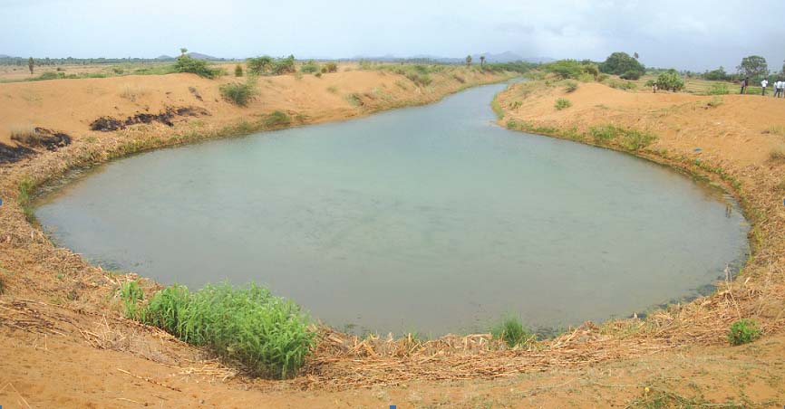 A talipiri on a stream bed in Anantapur