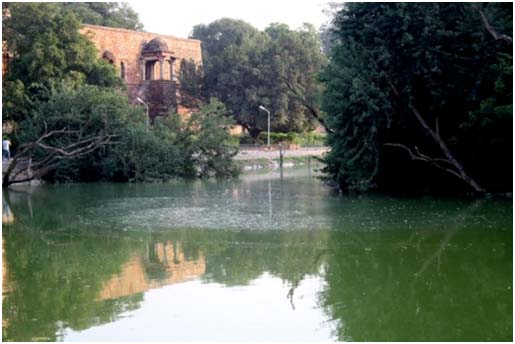 Hauz e khas