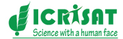 International Crops Research Institute for the Semi-Arid Tropics