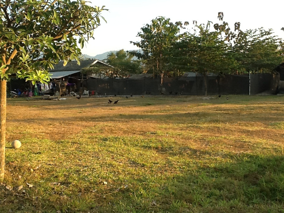 The site looked like this at the start. He then began composting to increase the nutrient value of the soil. He encouraged children to plant saplings and vegetables with the seeds brought from the market. 