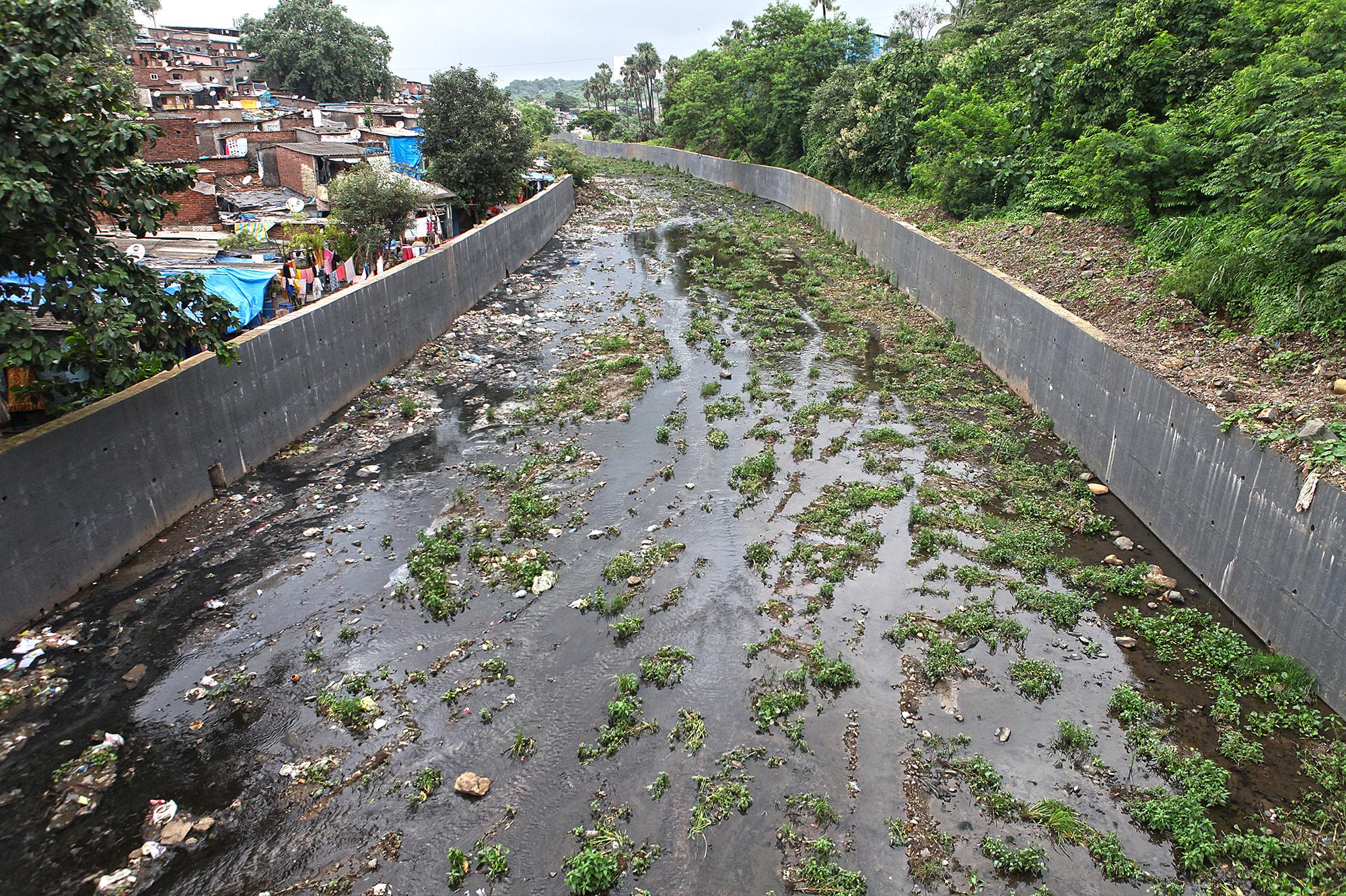 Retaining walls along the river near its origin at Vihar lake