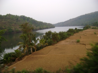 Aghanashini River