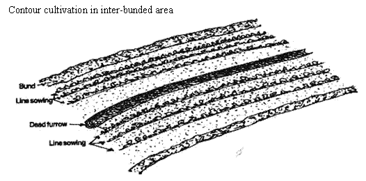 Contour Tillage