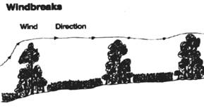 Wind Erosion