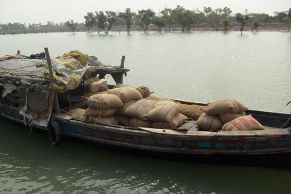 Food Distribution in Aila Affected K-plot6