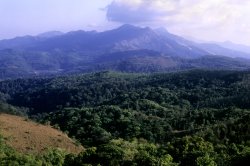 Brahmagiri hill,Kodagu, seen from Talakaveri shrine 