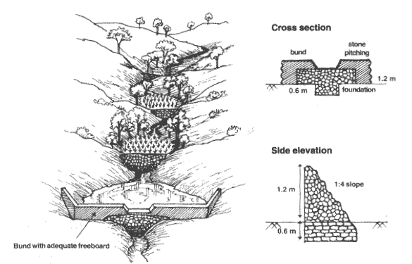 Check Dams for Water Conservation1