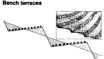 Bench terraces