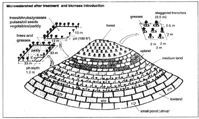 Micro watershed after treatment and blomass introduction