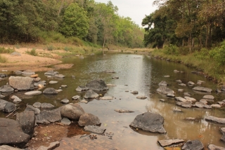 Kanha