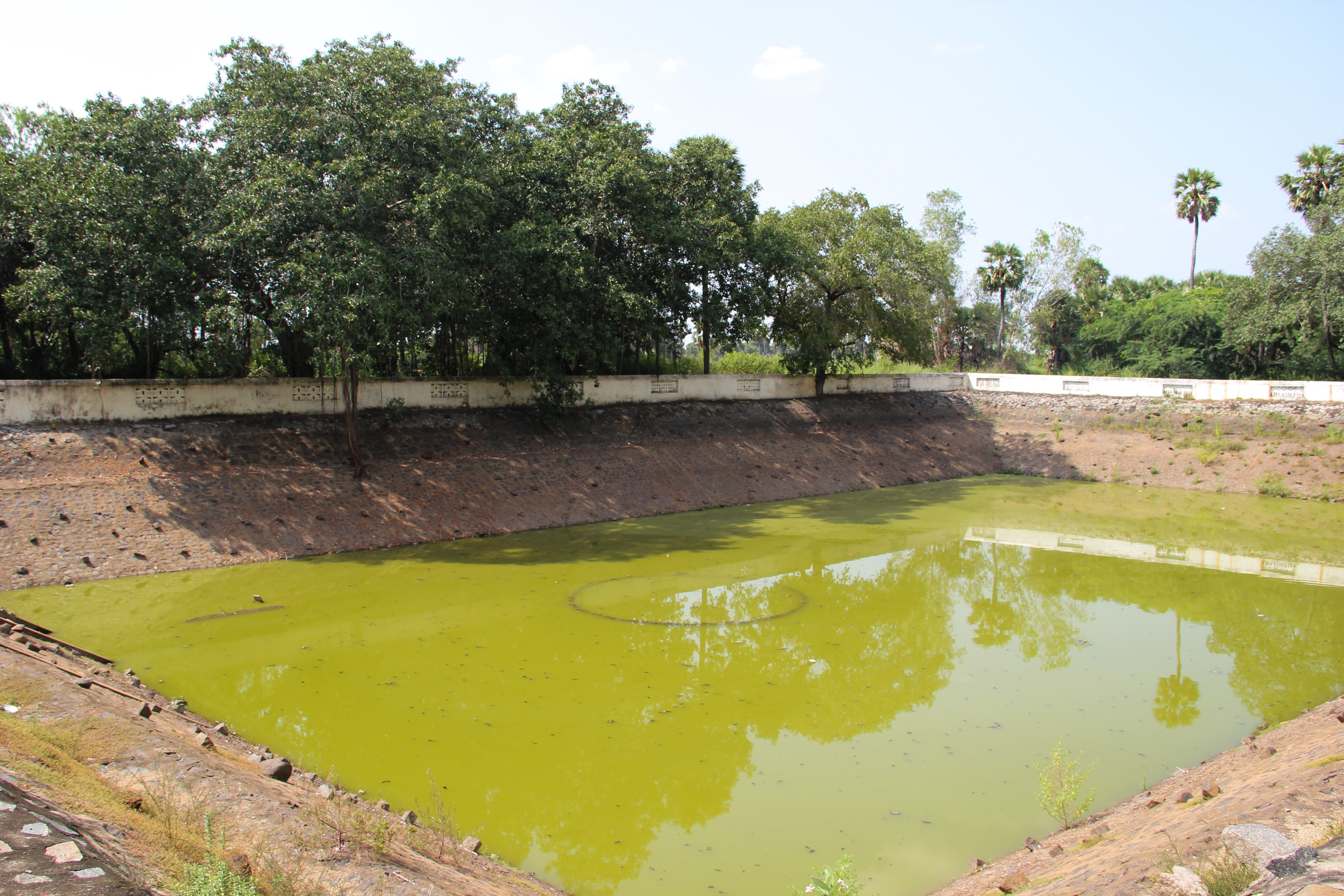 Oorani in Pattikadu village in Thirukazhukundram block