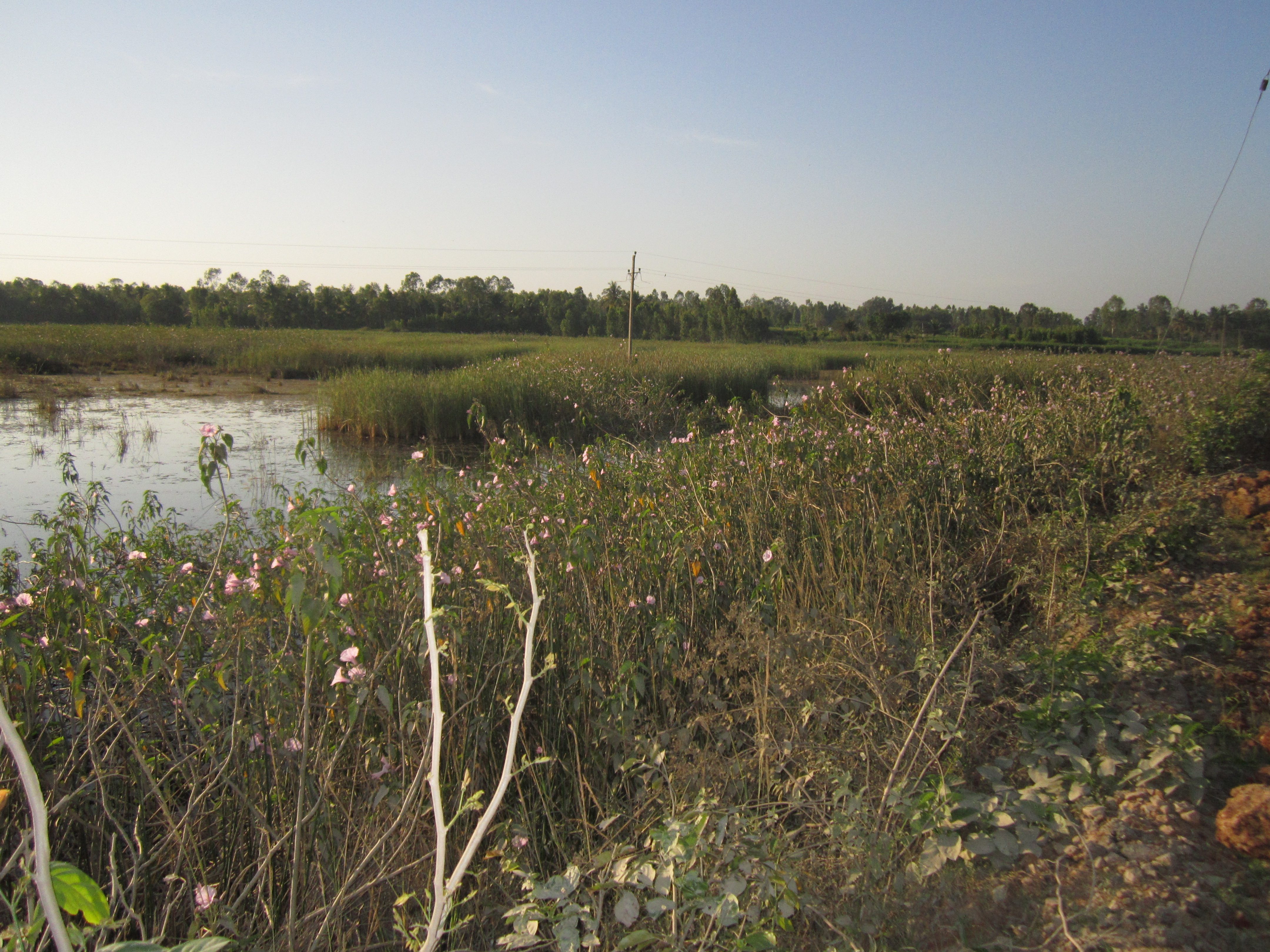 Mikkere lake